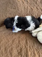 processed/19a3dd6b-cb2f-4a41-8297-8582d146fafa/listing/7060b56a-a95c-44ed-ba98-588224a85538/d48b3760-c8fe-44f8-bf59-879ca28cd5c7