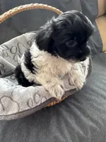 processed/19a3dd6b-cb2f-4a41-8297-8582d146fafa/listing/7060b56a-a95c-44ed-ba98-588224a85538/fd6f0956-0f91-44b5-bac4-e71e8ab88534