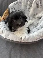 processed/19a3dd6b-cb2f-4a41-8297-8582d146fafa/listing/7918c17e-0e2e-498a-9ad1-74b8aa0089a5/1679d97d-15d5-4311-84ce-99aae778d5c8