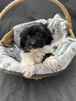 processed/19a3dd6b-cb2f-4a41-8297-8582d146fafa/listing/7918c17e-0e2e-498a-9ad1-74b8aa0089a5/b7c8defa-f312-4e3f-9193-d1ea7e4051fb