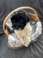 processed/19a3dd6b-cb2f-4a41-8297-8582d146fafa/listing/8e97cee7-81bf-4d64-839a-8a963bee8485/086927b7-4395-45b3-9916-4ea85ef750b1