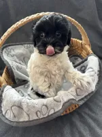 processed/19a3dd6b-cb2f-4a41-8297-8582d146fafa/listing/8e97cee7-81bf-4d64-839a-8a963bee8485/1ae9d5e6-ff8a-40c1-9f96-5b6334037e28