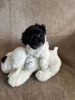 processed/19a3dd6b-cb2f-4a41-8297-8582d146fafa/listing/8e97cee7-81bf-4d64-839a-8a963bee8485/5d4554b2-e8a6-4513-a1c6-5b204e867785