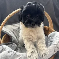 processed/19a3dd6b-cb2f-4a41-8297-8582d146fafa/listing/8e97cee7-81bf-4d64-839a-8a963bee8485/7a61865d-92ae-402f-a144-bf16608e5cdf