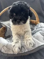 processed/19a3dd6b-cb2f-4a41-8297-8582d146fafa/listing/8e97cee7-81bf-4d64-839a-8a963bee8485/8be2d591-3965-4c6f-a51f-5a73f711effc