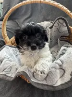 processed/19a3dd6b-cb2f-4a41-8297-8582d146fafa/listing/a08d1bbd-5274-4a0e-9702-b74abf592ca8/9a3fa681-a1d1-407a-96df-485460de7301