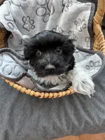 processed/19a3dd6b-cb2f-4a41-8297-8582d146fafa/listing/a781faf4-312b-45f1-8868-ea3cedc8b4c3/96445d33-74a4-4ff1-a6db-b4aaed294215