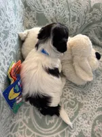 processed/19a3dd6b-cb2f-4a41-8297-8582d146fafa/listing/bac7c90f-2509-48b4-848d-ae7445bea0b1/1655c704-eec8-4c66-81b7-734a57a97d44