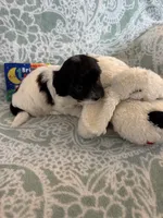 processed/19a3dd6b-cb2f-4a41-8297-8582d146fafa/listing/bac7c90f-2509-48b4-848d-ae7445bea0b1/1c58b880-3fd8-47dc-ab3d-236a9d593ba6