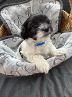 processed/19a3dd6b-cb2f-4a41-8297-8582d146fafa/listing/bac7c90f-2509-48b4-848d-ae7445bea0b1/69b305f1-5605-47d9-b760-f7e30d53c288