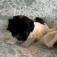 processed/19a3dd6b-cb2f-4a41-8297-8582d146fafa/listing/bac7c90f-2509-48b4-848d-ae7445bea0b1/cfe573af-5edf-4939-bec2-e11b230195b8