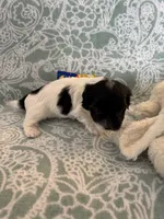 processed/19a3dd6b-cb2f-4a41-8297-8582d146fafa/listing/bac7c90f-2509-48b4-848d-ae7445bea0b1/dcf1843c-bee8-4001-b988-d797ab5d5bff