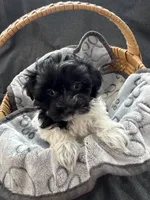 processed/19a3dd6b-cb2f-4a41-8297-8582d146fafa/listing/d9c3a680-19f4-4f23-a7d0-098ed3ae69b2/37a17a54-53e4-4b22-9c0f-4b332933e1d3