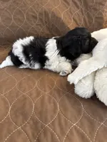 processed/19a3dd6b-cb2f-4a41-8297-8582d146fafa/listing/e9a33f02-0c47-4ed5-9ec3-5d65ff5a8e30/32f1a766-dc81-4683-b8d6-0a73b3a03690