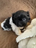 processed/19a3dd6b-cb2f-4a41-8297-8582d146fafa/listing/e9a33f02-0c47-4ed5-9ec3-5d65ff5a8e30/3a03accc-da8e-4175-9467-858e60eb11ff