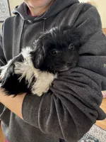 processed/19a3dd6b-cb2f-4a41-8297-8582d146fafa/listing/e9a33f02-0c47-4ed5-9ec3-5d65ff5a8e30/6534dbbf-5427-482c-882a-9e7bd5a56e65