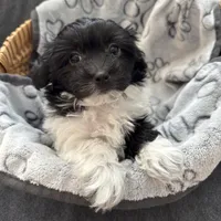 processed/19a3dd6b-cb2f-4a41-8297-8582d146fafa/listing/e9a33f02-0c47-4ed5-9ec3-5d65ff5a8e30/adf46c66-9a96-4048-9362-1932cd9d8d9d