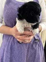 processed/19a3dd6b-cb2f-4a41-8297-8582d146fafa/listing/e9a33f02-0c47-4ed5-9ec3-5d65ff5a8e30/b099a180-903e-4cdd-991a-e284037787f8