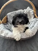 processed/19a3dd6b-cb2f-4a41-8297-8582d146fafa/listing/e9a33f02-0c47-4ed5-9ec3-5d65ff5a8e30/cefeb479-8c04-4d65-83ae-8b4a1b0c4825