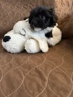 processed/19a3dd6b-cb2f-4a41-8297-8582d146fafa/listing/e9a33f02-0c47-4ed5-9ec3-5d65ff5a8e30/f744f440-18f5-4a7f-9d6a-35803b7d844e