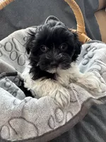 processed/19a3dd6b-cb2f-4a41-8297-8582d146fafa/listing/fb8e939e-4d83-43c7-a363-c8fd10b8539e/15a4f7b3-3633-4526-9927-86aba0c45d83