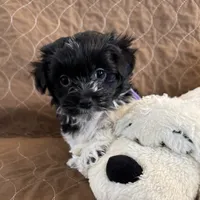 processed/19a3dd6b-cb2f-4a41-8297-8582d146fafa/listing/fb8e939e-4d83-43c7-a363-c8fd10b8539e/321a5a64-218f-4b7f-8979-f18384071f8a