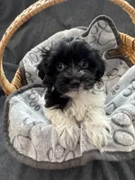 processed/19a3dd6b-cb2f-4a41-8297-8582d146fafa/listing/fb8e939e-4d83-43c7-a363-c8fd10b8539e/b711c6be-df5e-4682-818f-0618bfdbd939