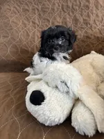 processed/19a3dd6b-cb2f-4a41-8297-8582d146fafa/listing/fb8e939e-4d83-43c7-a363-c8fd10b8539e/b9eb30ef-a9bd-47f7-a762-824811a05766