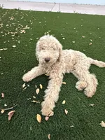 processed/19a7222d-3e56-48dc-a616-a6f14b22bb56/listing/afdbc77f-c883-4c3b-90e2-49b039306c97/1a203a9a-c33c-4f45-b9e4-2443d964616f