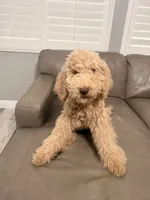 processed/19a7222d-3e56-48dc-a616-a6f14b22bb56/listing/afdbc77f-c883-4c3b-90e2-49b039306c97/4e9d4196-0e18-44b2-a732-f5a3e1e80869