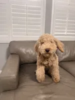 processed/19a7222d-3e56-48dc-a616-a6f14b22bb56/listing/afdbc77f-c883-4c3b-90e2-49b039306c97/70483f79-8c3f-4889-84a6-869af9101e11