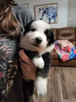 processed/19a73255-d386-474d-8251-f02f98523d30/listing/28da6f40-442a-4ff5-95f6-78c93e15af7f/250191dd-119b-4e33-8028-2d88fe9da80e