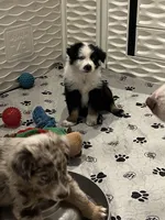 processed/19a73255-d386-474d-8251-f02f98523d30/listing/28da6f40-442a-4ff5-95f6-78c93e15af7f/4d4ec3e0-6e22-4559-849f-22217bbe3256