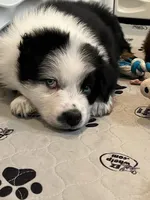 processed/19a73255-d386-474d-8251-f02f98523d30/listing/28da6f40-442a-4ff5-95f6-78c93e15af7f/bf5e99d7-fe35-47dc-976f-5bfd1a7d3993