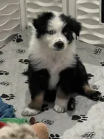 processed/19a73255-d386-474d-8251-f02f98523d30/listing/28da6f40-442a-4ff5-95f6-78c93e15af7f/fc9a5dd8-edcb-41fc-a2b0-c843583d844c