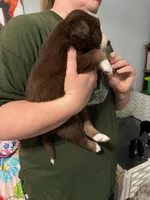 processed/19a73255-d386-474d-8251-f02f98523d30/listing/29ef6813-4864-445a-a516-50b543996b87/2b62fe44-7f68-4244-bab2-b12eeb1bfff4