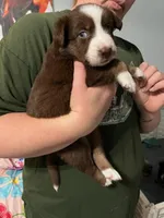 processed/19a73255-d386-474d-8251-f02f98523d30/listing/29ef6813-4864-445a-a516-50b543996b87/63dce1aa-d7b5-4bd8-9838-25887b715bc0