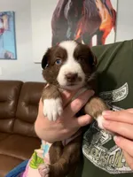 processed/19a73255-d386-474d-8251-f02f98523d30/listing/29ef6813-4864-445a-a516-50b543996b87/806c435d-5d1f-41d5-9c9a-b392f23d5801