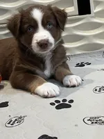 processed/19a73255-d386-474d-8251-f02f98523d30/listing/29ef6813-4864-445a-a516-50b543996b87/9b6494df-b8b1-4a38-89fa-c4af826ea6eb