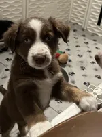 processed/19a73255-d386-474d-8251-f02f98523d30/listing/29ef6813-4864-445a-a516-50b543996b87/e0b6cea6-f681-4449-906b-a6186793d8c7