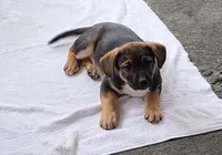 processed/19ba4481-8927-4350-8154-0a9df2d710dc/listing/f0926e1c-9321-475b-825a-a5a2e8099cef/42ffbf64-aa32-4091-a889-9b46409c9fa9