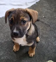 processed/19ba4481-8927-4350-8154-0a9df2d710dc/listing/f0926e1c-9321-475b-825a-a5a2e8099cef/8d5c47ba-ecfe-40f2-9dda-219cd26bb78e