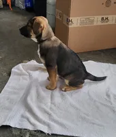 processed/19ba4481-8927-4350-8154-0a9df2d710dc/listing/f0926e1c-9321-475b-825a-a5a2e8099cef/8e90aa96-3552-4edf-92b8-5c03928eb2f7