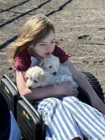 White female , a female Great Pyrenees and Komondor for sale in Rockwall, TX – Photo 2 of 2