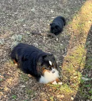 processed/19c09b9e-d2fe-4298-ae4d-ec012c179b18/listing/8ab195f5-201b-49f7-9412-0e1d801d0ed1/120b180e-7d90-42de-a0c0-0cbd1027d370