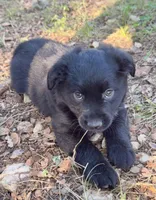 processed/19c09b9e-d2fe-4298-ae4d-ec012c179b18/listing/8ab195f5-201b-49f7-9412-0e1d801d0ed1/b081db29-5e40-4819-86fd-246c7a5eb367