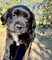 processed/19c09b9e-d2fe-4298-ae4d-ec012c179b18/listing/8ab195f5-201b-49f7-9412-0e1d801d0ed1/df7f9674-b5b1-440b-8ebf-36c63197de78