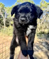 processed/19c09b9e-d2fe-4298-ae4d-ec012c179b18/listing/8c8228c5-2e68-47f7-9fa2-70f404da7760/3052b979-c05f-4eb4-8a62-8590eb7b50b6