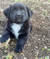 processed/19c09b9e-d2fe-4298-ae4d-ec012c179b18/listing/8c8228c5-2e68-47f7-9fa2-70f404da7760/35e00b2a-7c41-4225-ace0-030508c74d24