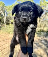 processed/19c09b9e-d2fe-4298-ae4d-ec012c179b18/listing/8c8228c5-2e68-47f7-9fa2-70f404da7760/a3c33cc6-cb69-4885-902f-fafdd0cc894a